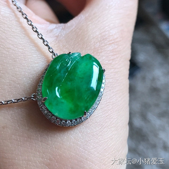 冰种阳绿天鹅锁骨链_项链吊坠翡翠