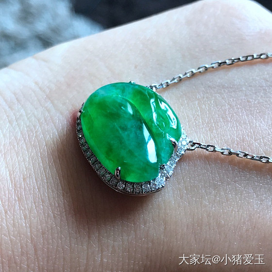冰种阳绿天鹅锁骨链_项链吊坠翡翠