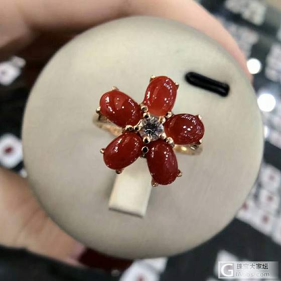 阿卡珊瑚牛血戒指_戒指珊瑚