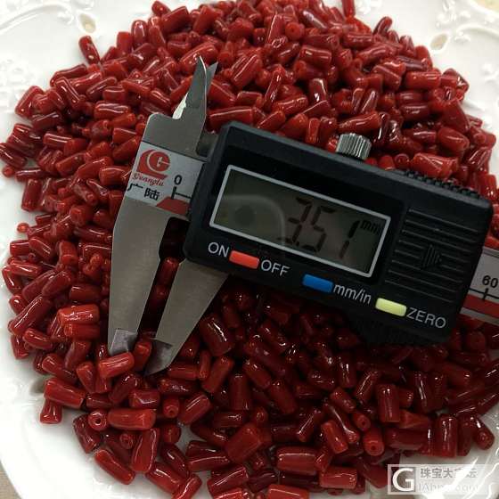 红珊瑚_珊瑚