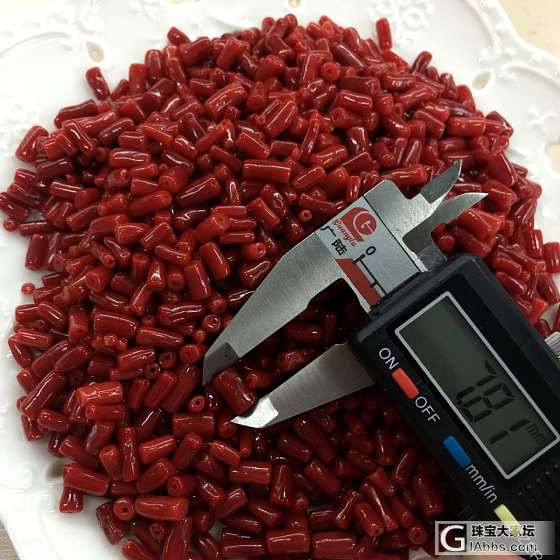 红珊瑚_珊瑚