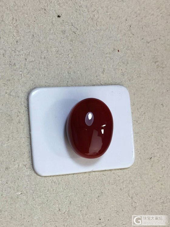 阿卡珊瑚牛血戒面_蛋面珊瑚