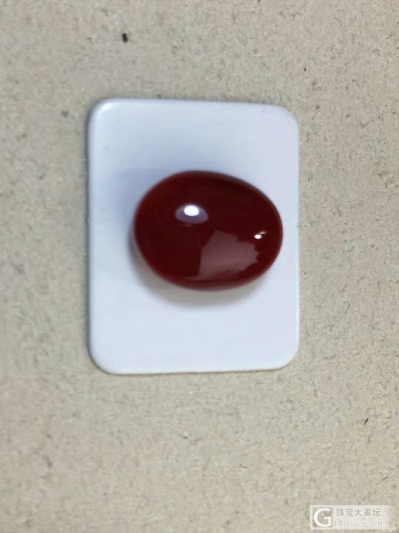 阿卡珊瑚牛血戒面_蛋面珊瑚