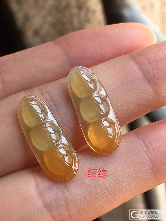 结缘，欣赏，翡翠冰黄豆子一对_戒面翡翠