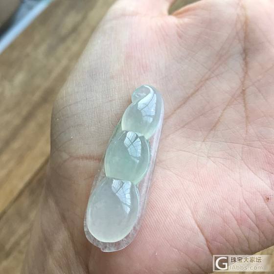 胶感十足的大福豆_翡翠