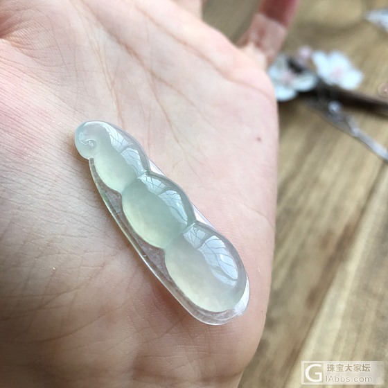 胶感十足的大福豆_翡翠