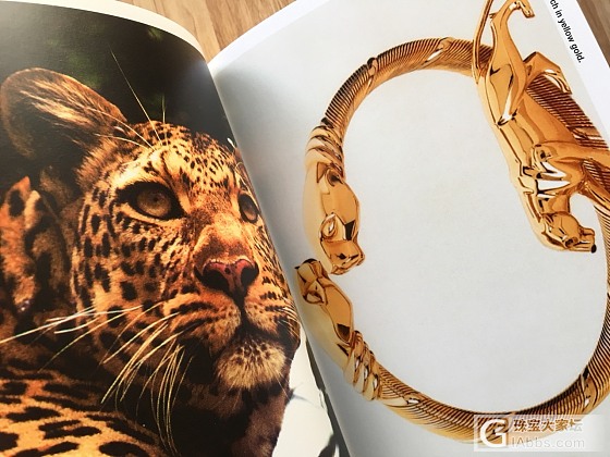 LES MUST DE CARTIER_名贵宝石钻石设计首饰