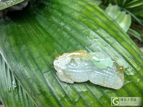 闲置亏出一个三彩的大花生。天气有点阴天拍的_翡翠