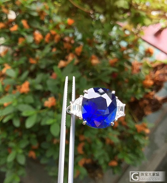 ##中颐旗舰荣誉出品天然皇家蓝蓝宝石戒指##  7.05ct_戒指蓝宝石