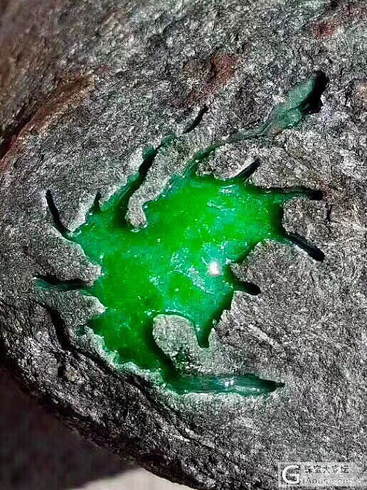 翡翠原石鉴赏_翡翠原石