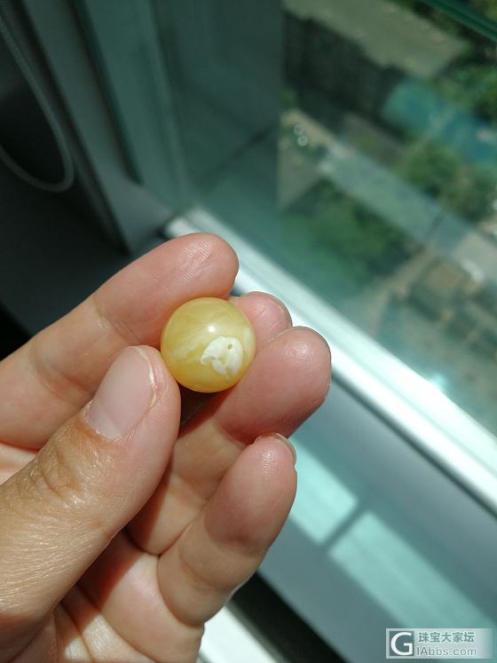 蜜蜡蜜蜡了解一下_配件琥珀蜜蜡