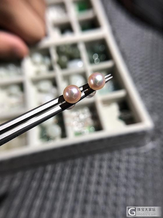 5.5-6mm彩凛，超粉亮小灯泡_耳钉海水珍珠