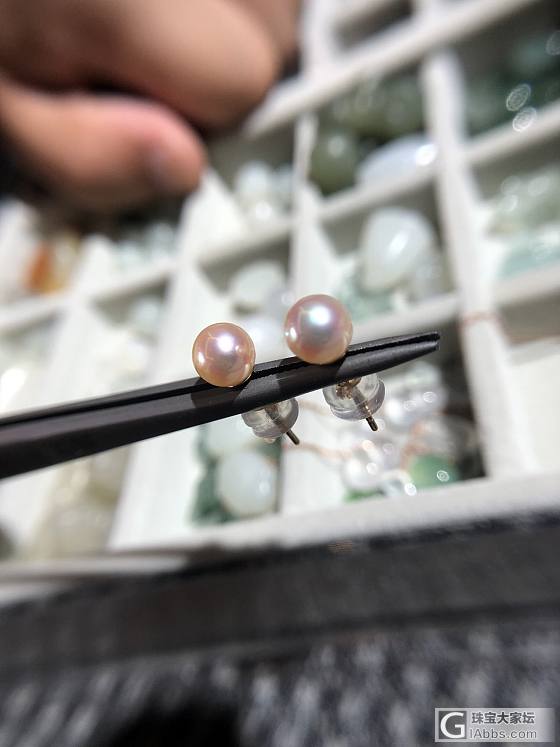 5.5-6mm彩凛，超粉亮小灯泡_耳钉海水珍珠