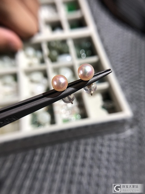 5.5-6mm彩凛，超粉亮小灯泡_耳钉海水珍珠
