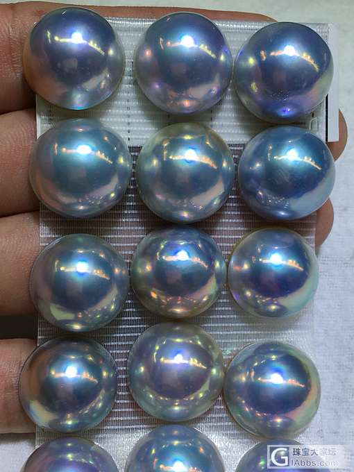 日本马贝_珍珠