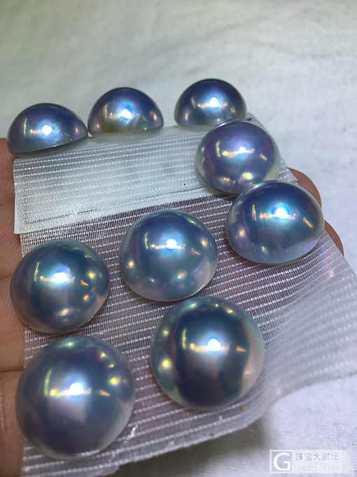 日本马贝_珍珠
