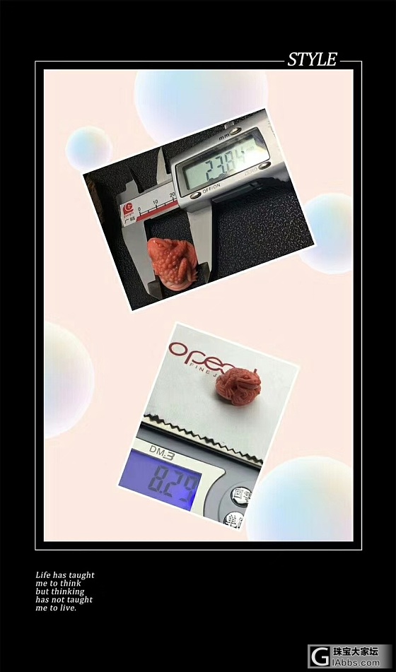 台湾莫莫招财金蟾 💫1180 先款先得_挂件珊瑚