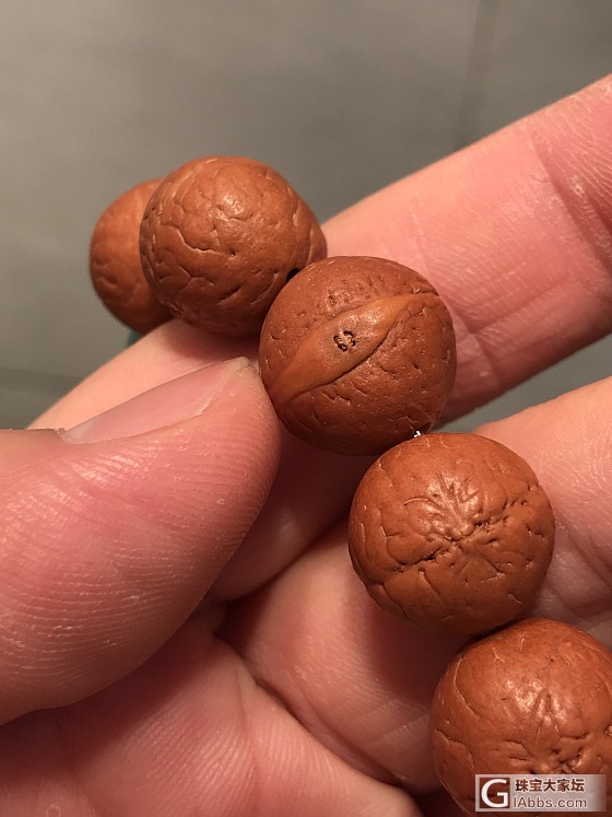 小凤眼菩提上手，折腾小达人！_珠串菩提子