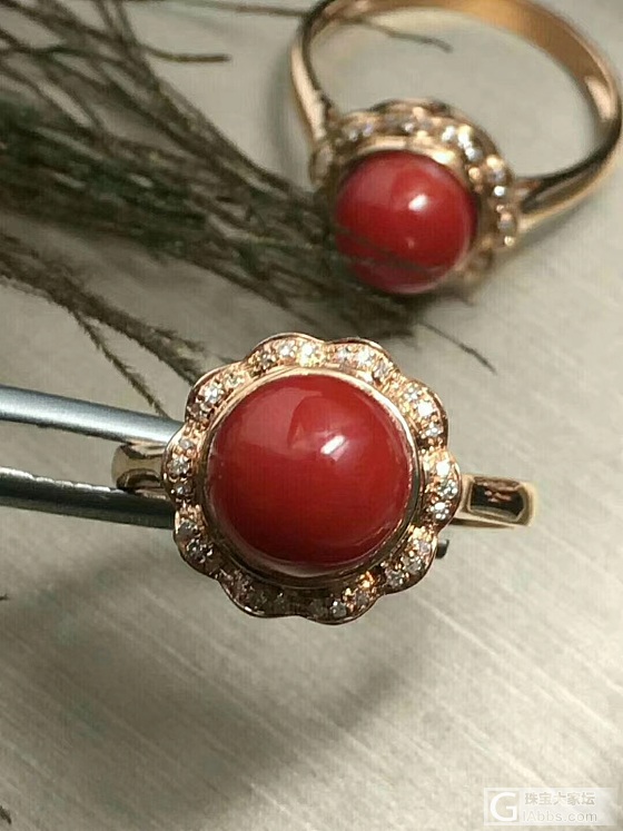 18k金镶嵌钻石 日本阿卡牛血8mm 戒指💍 圈口免费改 送证书 送礼盒🎁_戒指珊瑚