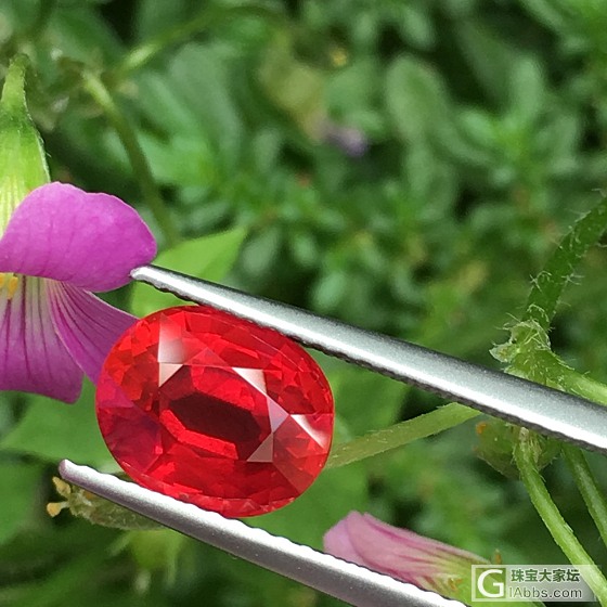 纯干货分享，文字功底有待提高_红宝石