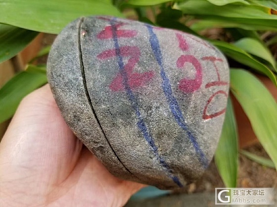大家来论评这块莫西沙改口手镯料_原石翡翠