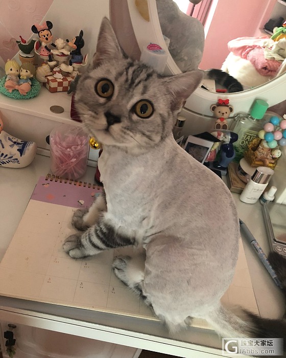 金首饰怎么保存_金