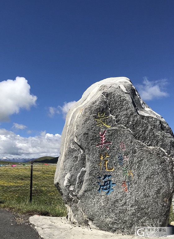 川西行——若尔盖花湖、俄么塘花海_四川旅游闲聊