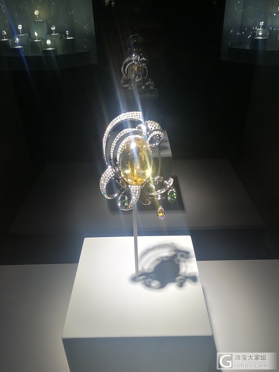 国外看到的珠宝展览_展会彩色宝石