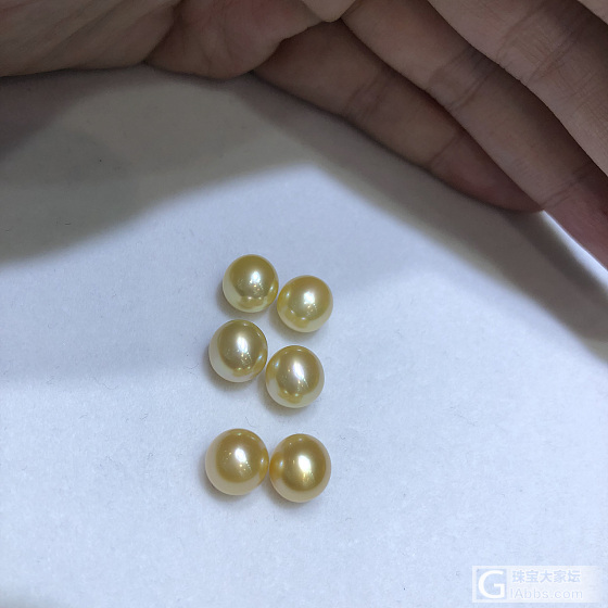 7-8mm 南洋金珠小蛋蛋 超萌裸珠来一波_珍珠