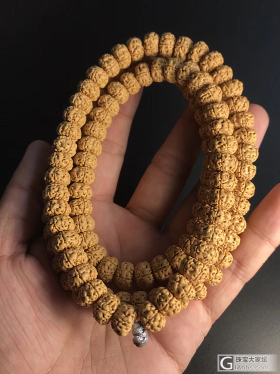 树王之籽_珠串菩提子
