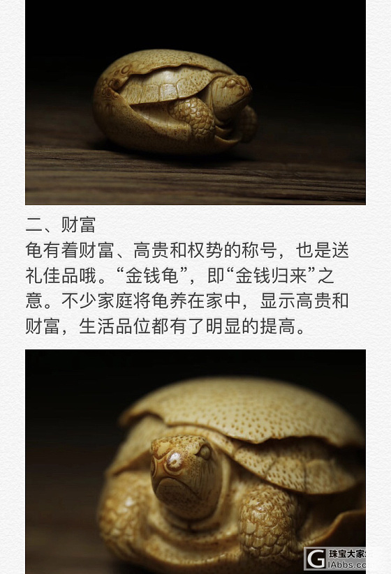 你需要知道养乌龟和神器好处_把玩件