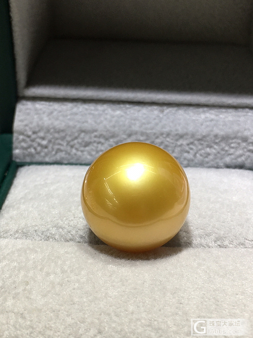 算浓金吗_珍珠