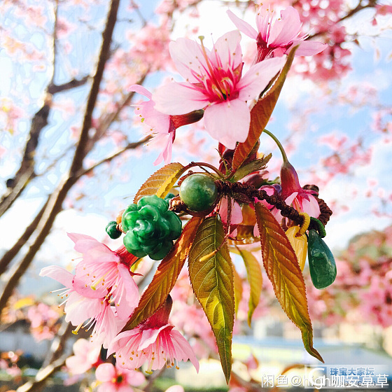 不吐不快～这两个是同一个？_花件翡翠