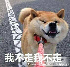 决定要叛逆一辈子了_商户