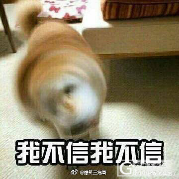 决定要叛逆一辈子了_商户