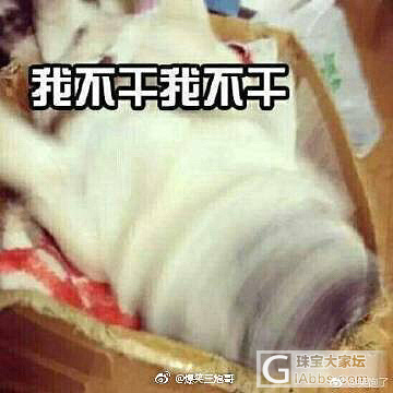 决定要叛逆一辈子了_商户