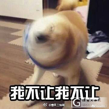 决定要叛逆一辈子了_商户