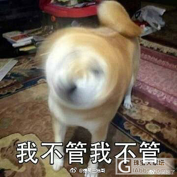 决定要叛逆一辈子了_商户