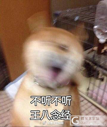 决定要叛逆一辈子了_商户