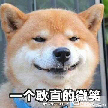决定要叛逆一辈子了_商户