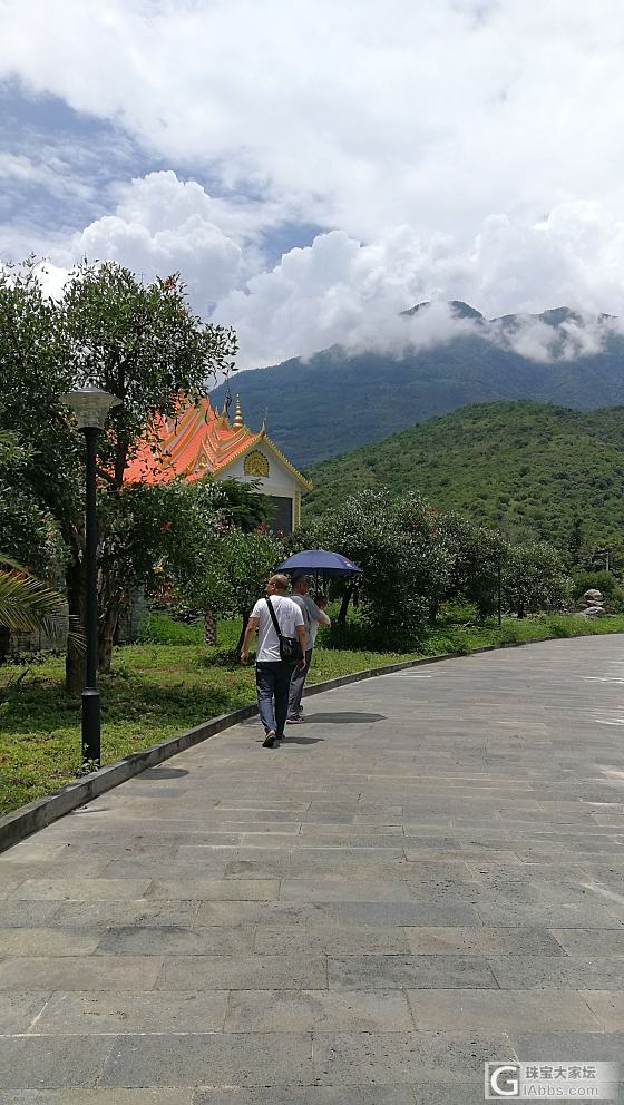 这个地方蜻蜓蝴蝶无数_蝴蝶蜻蜓旅游