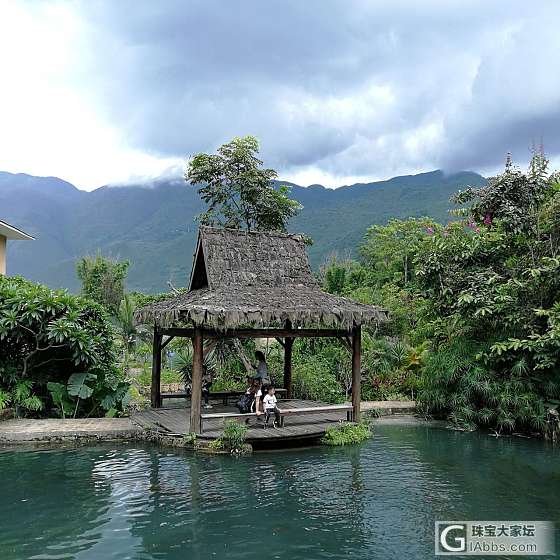 这个地方蜻蜓蝴蝶无数_蝴蝶蜻蜓旅游