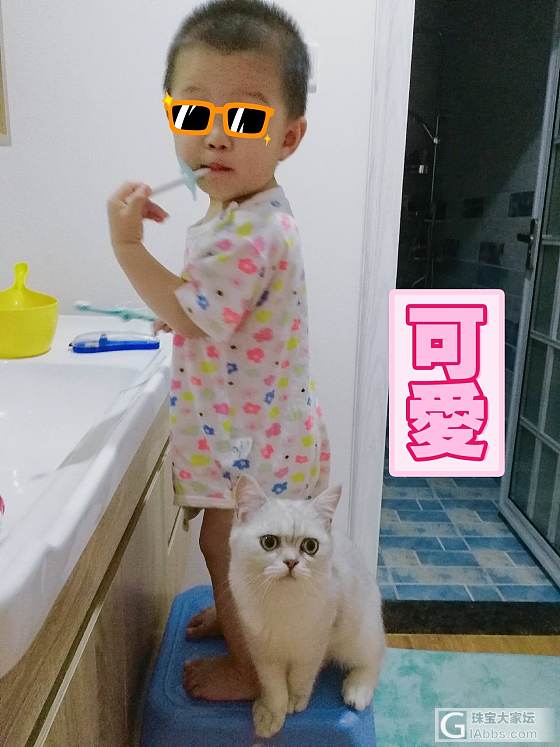 🐣鸡米和🐈猫们的日常_幼儿猫