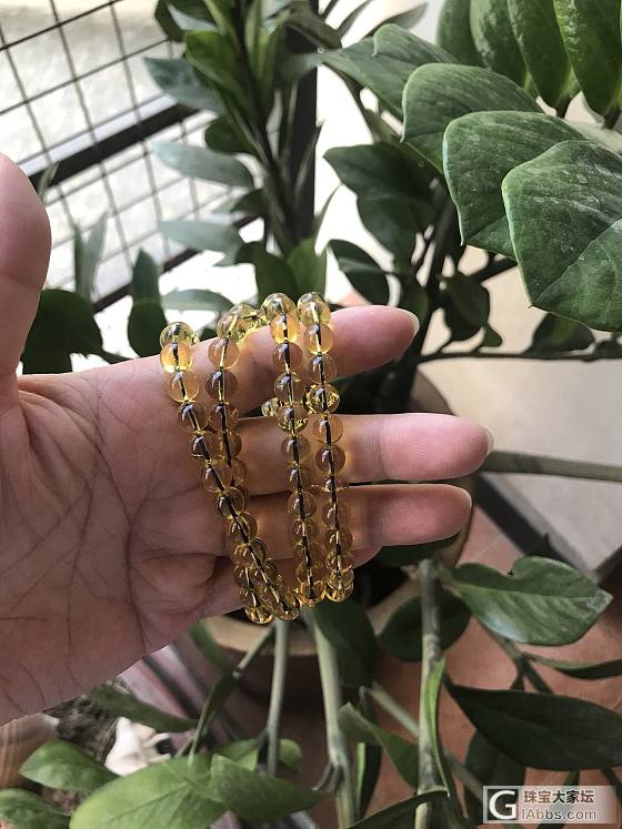 缅甸琥珀大神指导一下吧，值多少克价_珠串琥珀