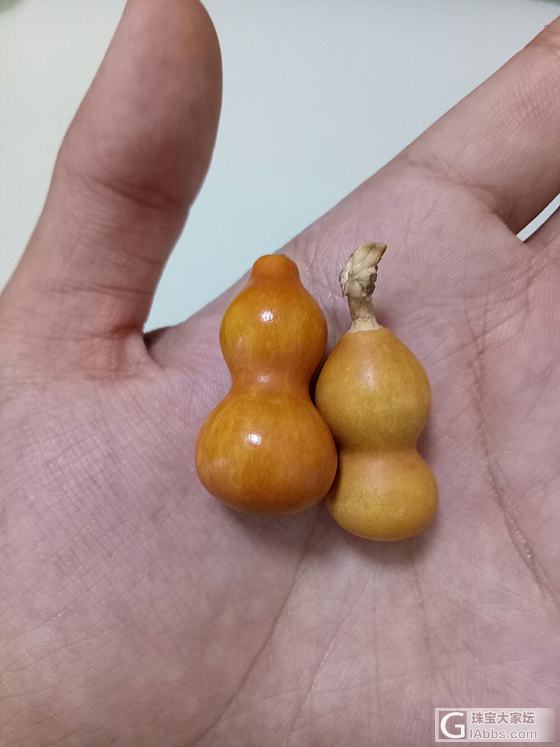 就是喜欢小葫芦(ฅ>ω<*ฅ)_葫芦