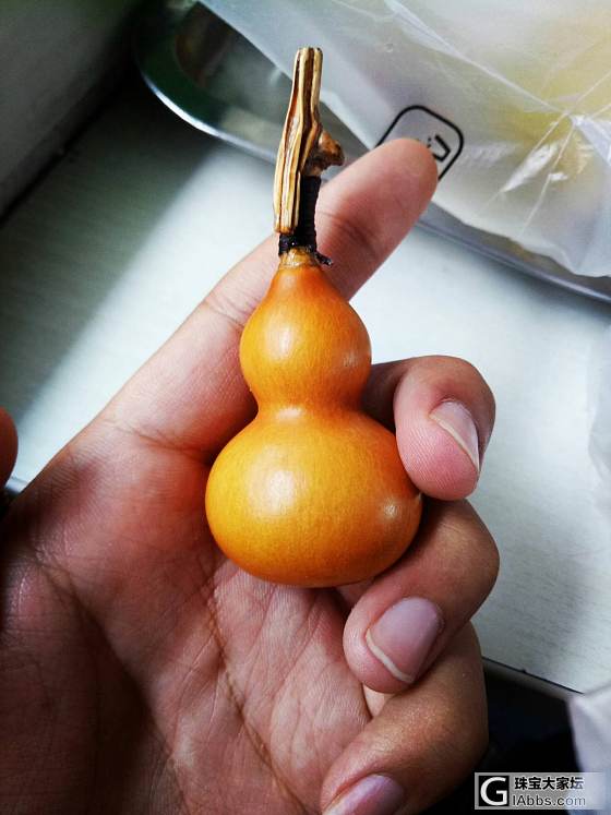 就是喜欢小葫芦(ฅ>ω<*ฅ)_葫芦