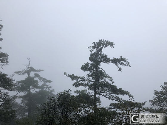 云间_手镯搭配蜜蜡翡翠