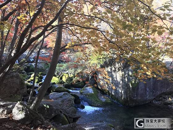 霜叶红于二月花_景色旅游