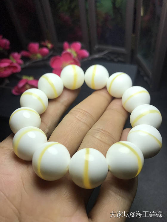 随便拍都这效果，好东西就是不一样_砗磲