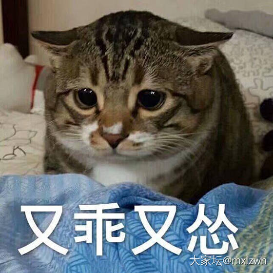 求三角形裸石镶嵌戒指的款型啊……_求款式坦桑石